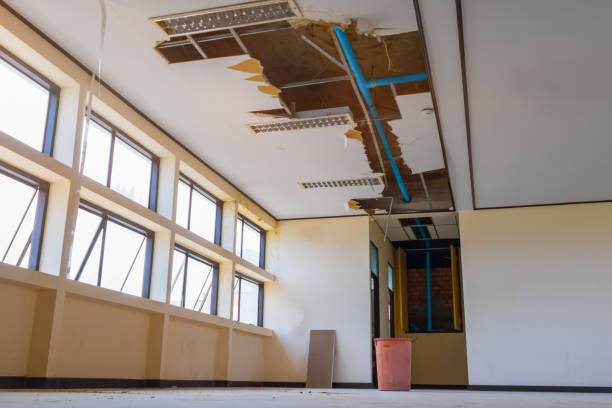 Best Ceiling water damage repair  in Dover, OH