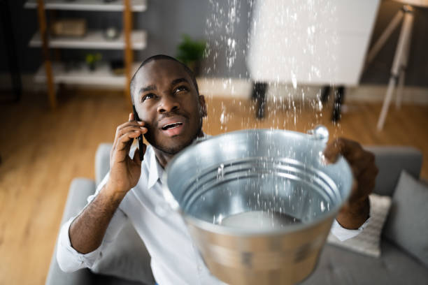 Best Water damage cleanup near me  in Dover, OH