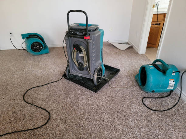 Best Professional water damage repair  in Dover, OH