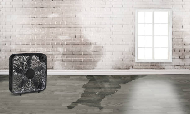 Best Emergency water damage restoration  in Dover, OH