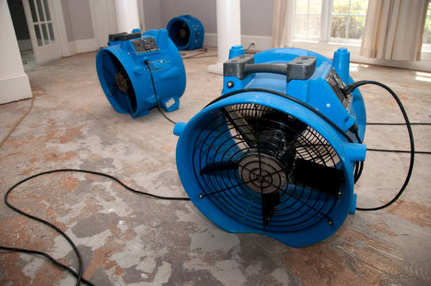 Best Water damage restoration services  in Dover, OH