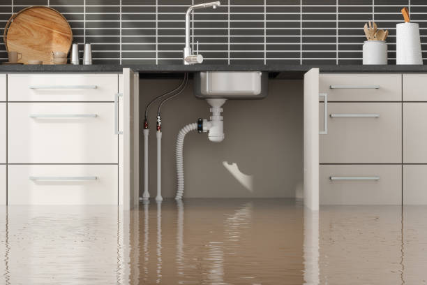 Best Water damage restoration specialists  in Dover, OH