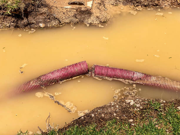 Best Basement water damage restoration  in Dover, OH